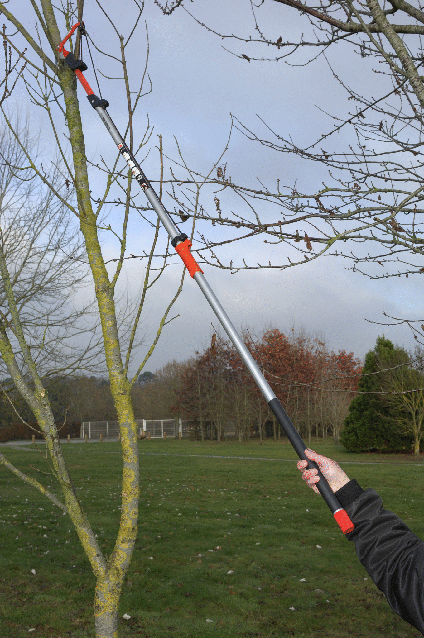 Pruner with Pull Cord, Aluminium Pole - AP-234-F by Bahco