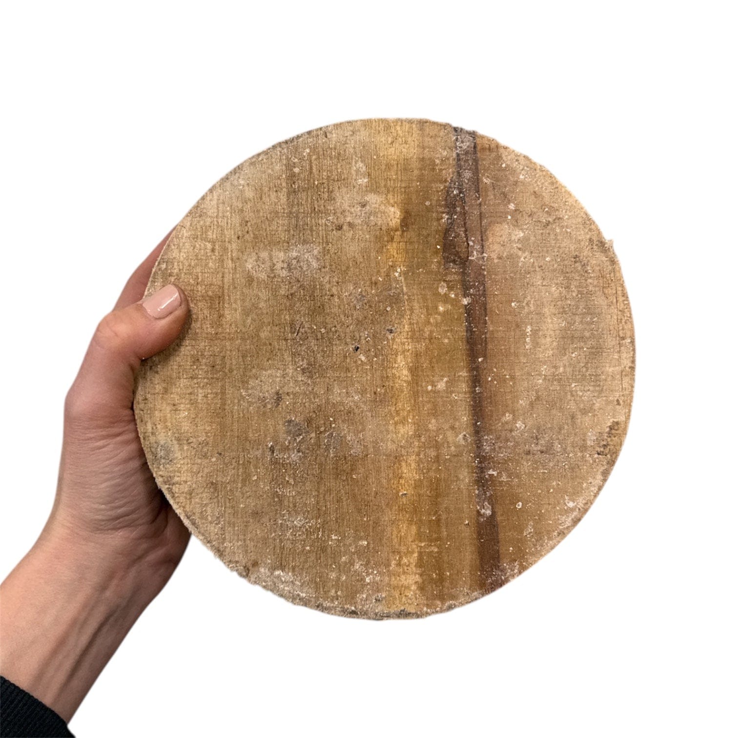 190-199mm x 60-70mm Assorted Round Camphor Woodturning Bowl Blank - Wet