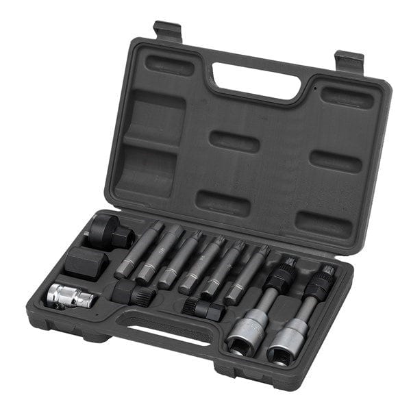 Toledo Universal Alternator Bit Set 302005