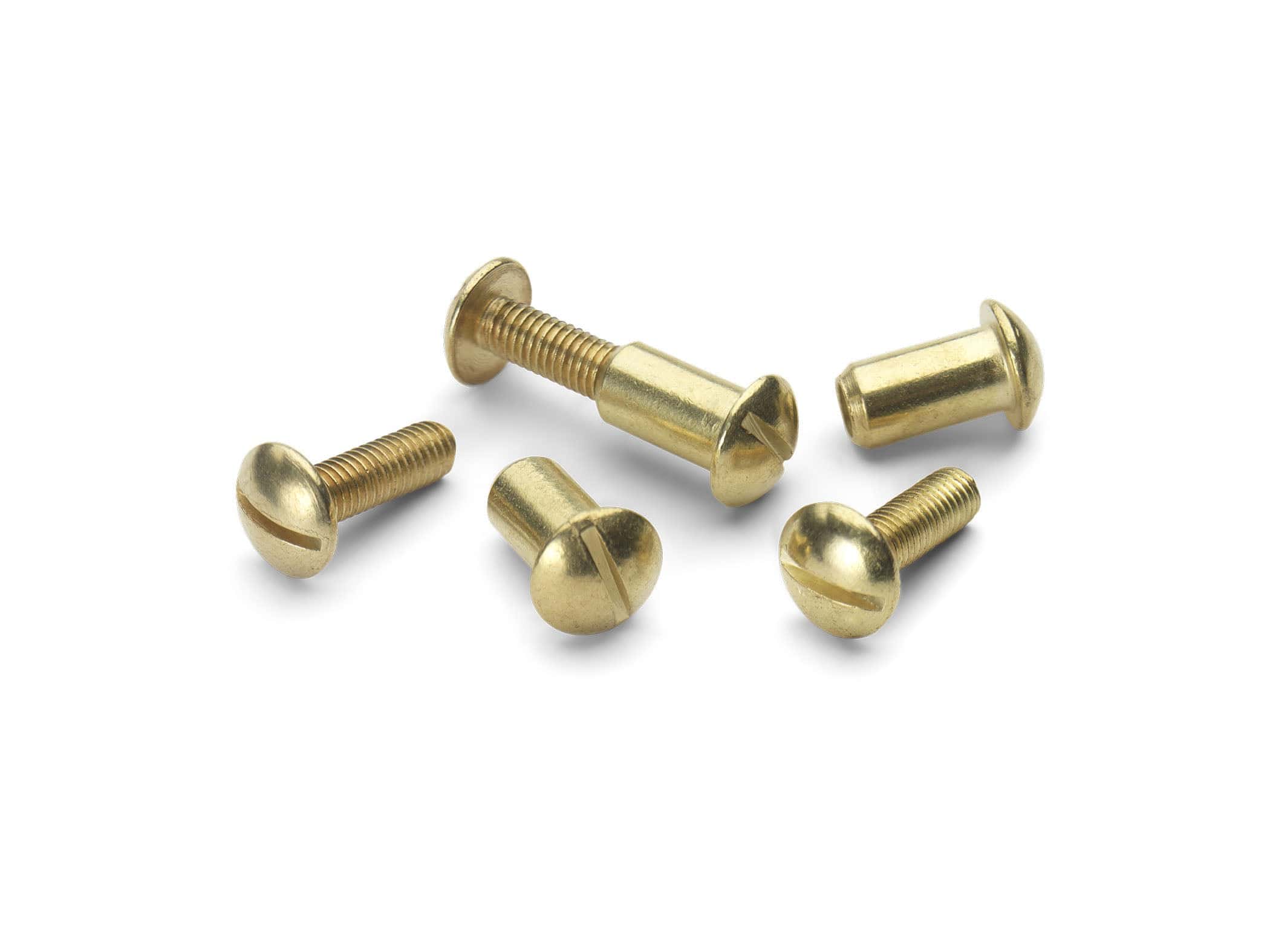 Brass Plated Saw Screw & Cap by Thomas Flinn