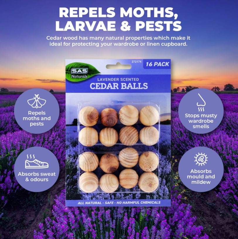 Lavender Cedar Wooden Balls 16Pce 11223 by SAS