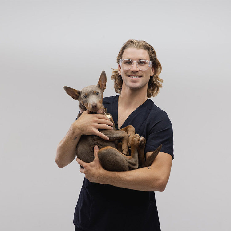 SafeStyle Cruisers Clear Frame Clear Lens