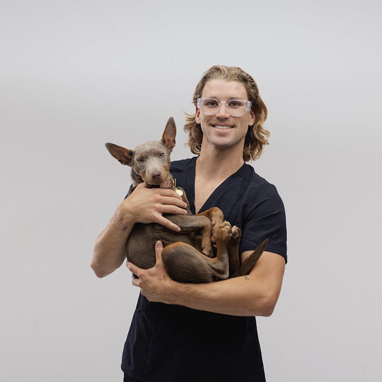 SafeStyle Cruisers Clear Frame Clear Lens