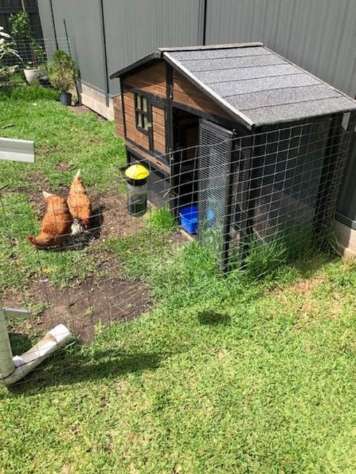 Re-usable Fly Trap by EnviroSafe