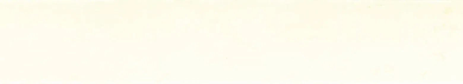 Surteco ABS U/G Edging - Antique Wiluna White SF015Z (102752)