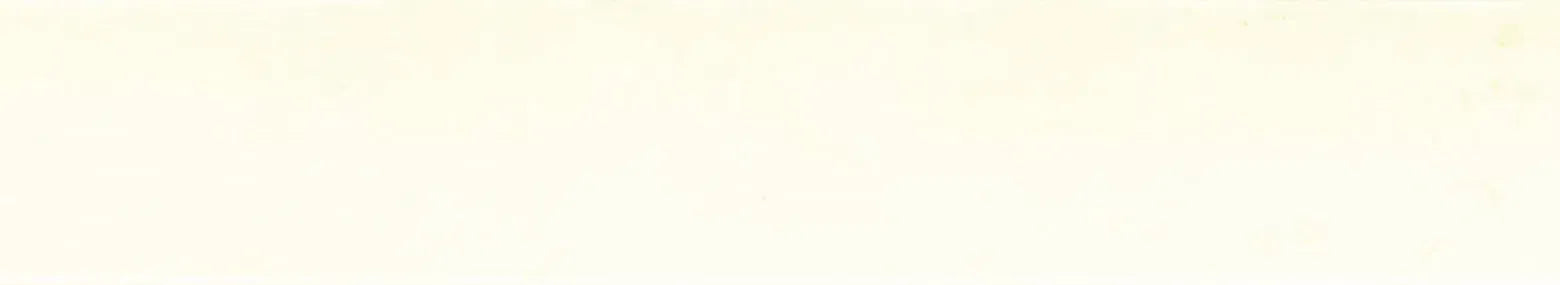 Surteco ABS U/G Edging - Antique Wiluna White SF015Z (102752)