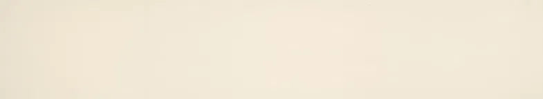 Surteco ABS U/G Edging - New Antique White Stipple SF204Z (103223)