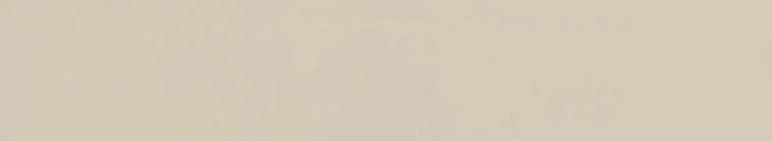 Surteco ABS U/G Edging - Birch Stipple SF215Z (105530)