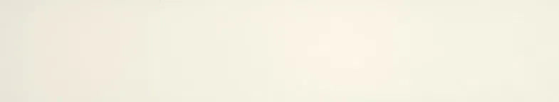 Surteco ABS U/G Edging - Parchment SF679A (102874)