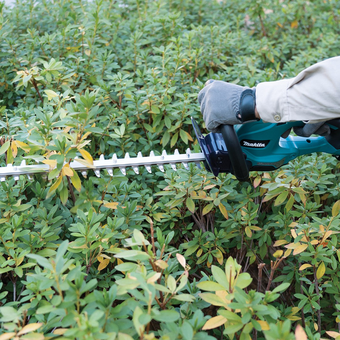 Makita 18V 5Ah 500mm Hedge Trimmer Kit DUH507CT *Limited Edition - Bonus 5Ah Battery*