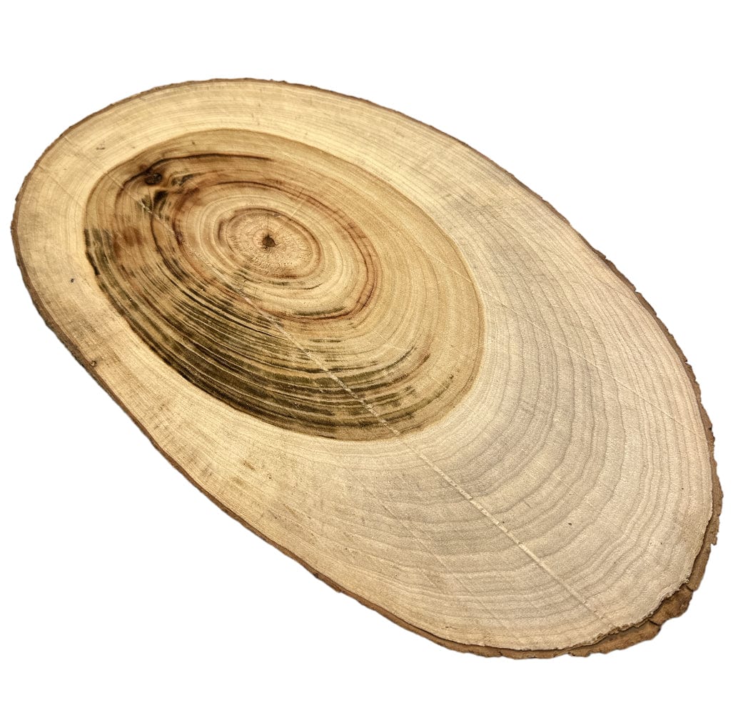 Camphor Laurel Oblique