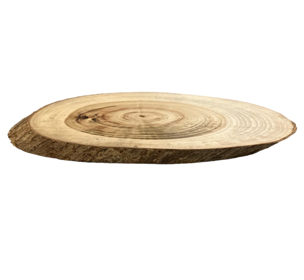 Camphor Laurel Oblique