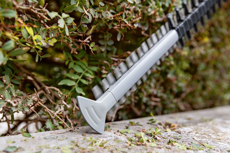 Bosch 18V Brushless Hedge Trimmer Bare GHE18V-60 (06008C9000)