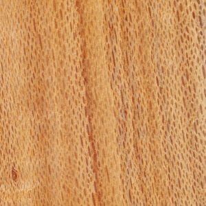 335 x 240 x 90mm Camphor Laurel Solid Timber Document Box Kit