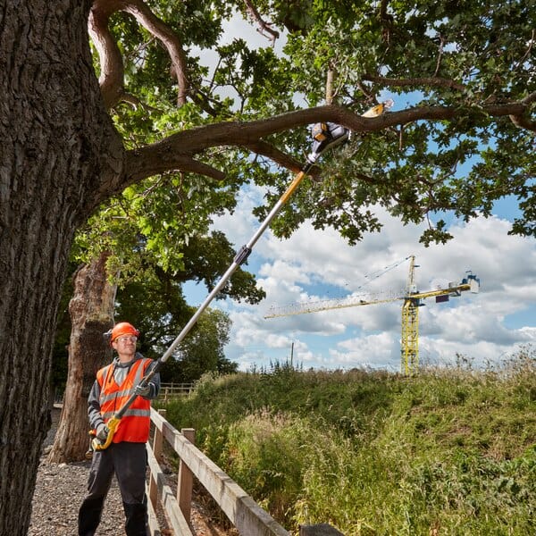 18V 200mm Brushless Pole Saw Bare (Tool Only) DCMPS567N-XE by Dewalt