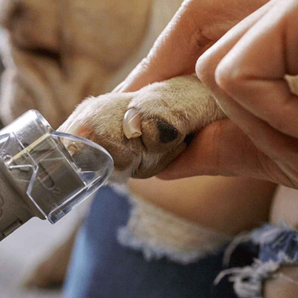 Pet Nail Grooming Rotary Tool Kit 7020-PGK F0137020JA by Dremel