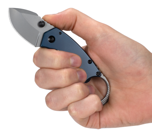 8710 Antic 1.7" Folding Knife KS8710 by Kershaw