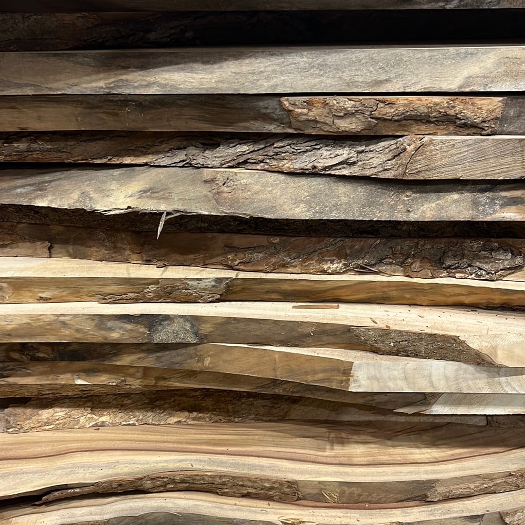 Camphor Laurel Wood Slab