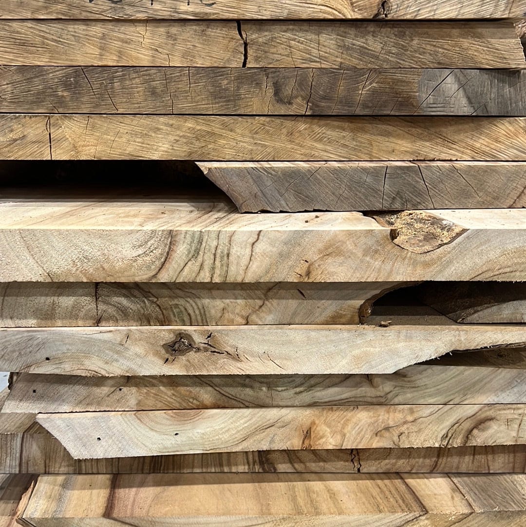 Camphor Laurel Wood Slab