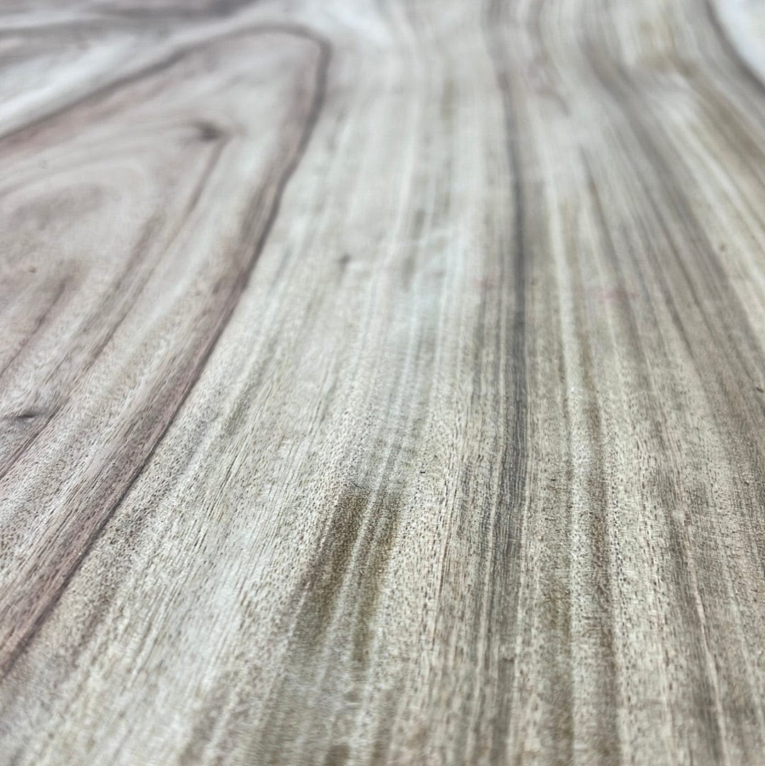 Camphor Laurel Wood Slab