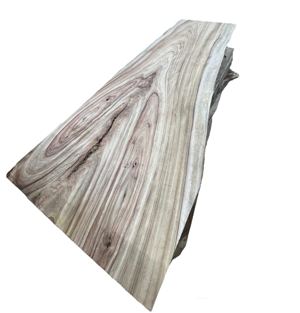 Camphor Laurel Wood Slab