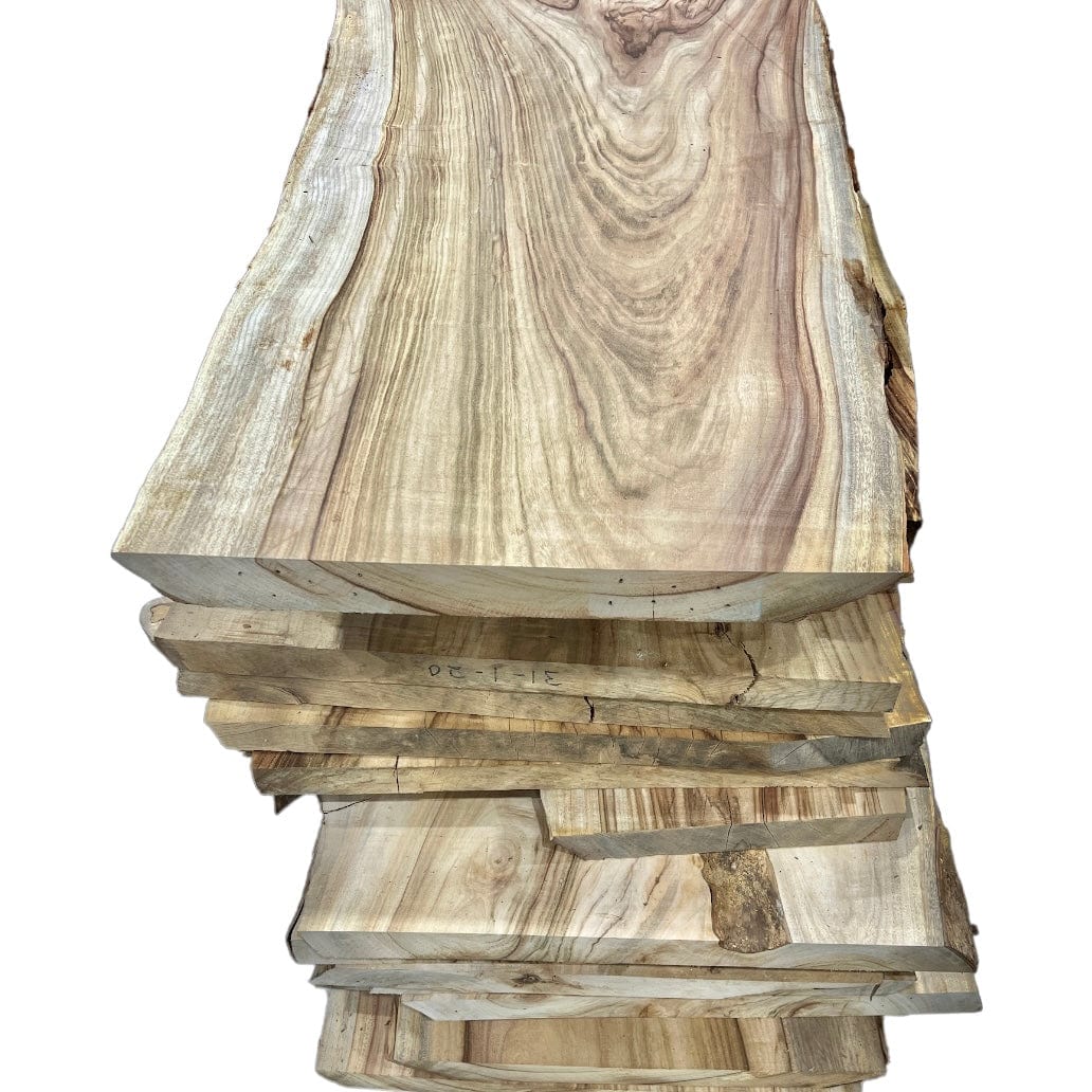 Camphor Laurel Wood Slab