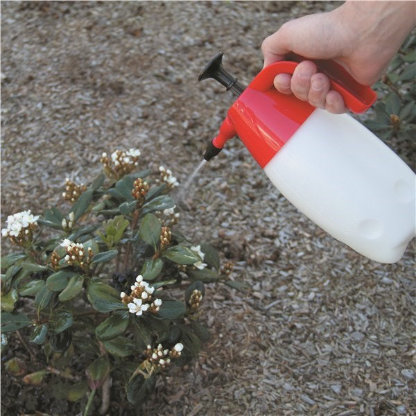 Pump Up Pressure Sprayer By Toledo