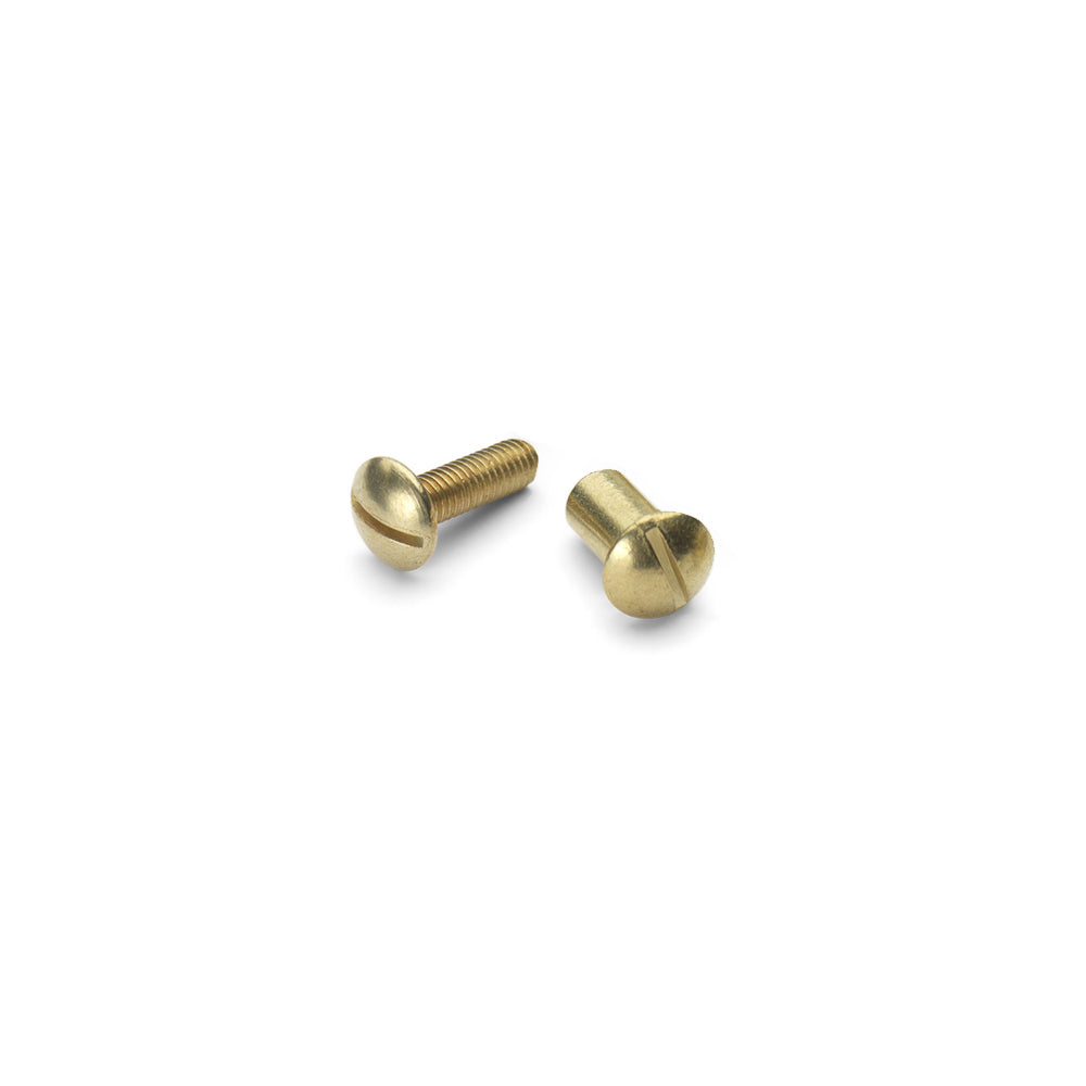 Brass Plated Saw Screw & Cap by Thomas Flinn