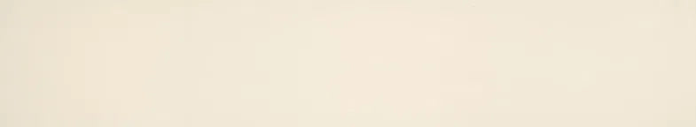 Surteco ABS U/G Edging - New Antique White Stipple SF204Z (103223)